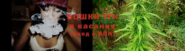 apvp Бородино