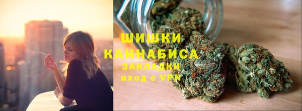 apvp Бородино