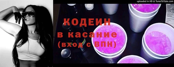 apvp Бородино