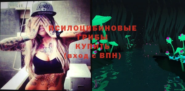 apvp Бородино