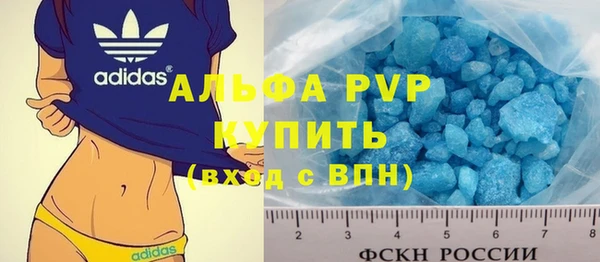 apvp Бородино